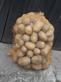 Sprzedam ziemniaki jadalne soraja i Queen Anna pakowane po 15 kg z piaszczystej ziemi bez żadnych zanieczyszczeń ilości busowe 