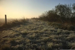 Dobrowolne wsparcie dla torfowisk i zmiana definicji TUZ