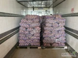 Sprzedam ziemniaki jadalne czerwone  bellarosa prosto od producenta pakowane w worki po 15kg,cena za kilogram 0,50 groszy. Kontakt tylko...