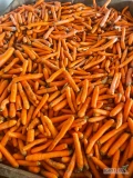 Sprzedam marchew odpadowa. Marchew zdrowa. Luzem w skrzyni lub worek 20kg. Cena luzem w skrzyni 10gr/kg
