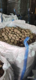 Sprzedam ziemniaki Mariola duże ilości, big bag