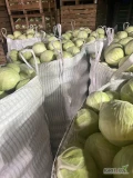 Sprzedam kapustę biała na przemysł 2-5kg op big bag kartonbox skrzynia .Posiadamy własny transport do uzg