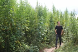 Konopie, raz jeszcze