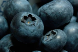 Dlaczego importowane borówki drożeją?
