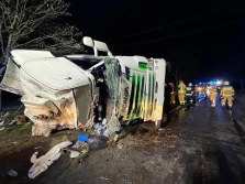 Przewrócony tir z półtuszami wieprzowymi