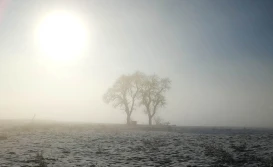 Minister Kowalczyk: 80% okrywy glebowej na okres zimy