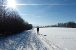 IMGW nadal zapowiada przeciętną zimę i... wczesną wiosnę