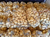 Sprzedam ziemniaki młode Ignacy świeżo kopane tel 512-336-057 Błaszki cena do uzg.