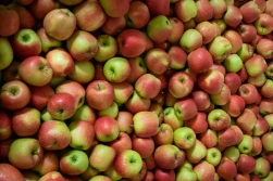 Sadownicy wzywają do przyspieszenia negocjacji pomiędzy UE a Wielką Brytanią