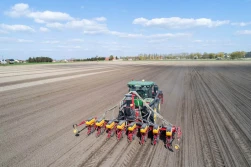 Siew kukurydzy kiszonkowej po mieszankach traw