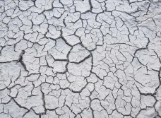 Rolnicze pola pustynnieją także w 2019