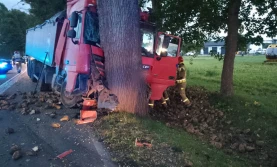Ciężarówka na drzewie, 25 ton buraków w rowie