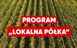 Obietnice PiS: lokalna półka