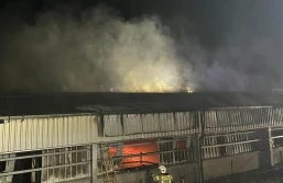 W pożarze wielkiej chlewni zginął mężczyzna...