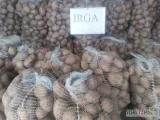 Sprzedam ziemniaki irga.