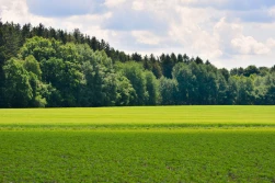 KRIR: Łączenie ekoschematów z PROW nie jest możliwe