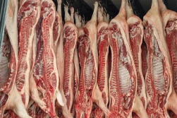 Czy w Polsce zabraknie tuczników?