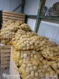 Sprzedam ziemniaki żółte Ignacy 220 worków 