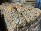 Sprzedam ziemniaki kal 3.5 do 4.5 Colombo denar melody zapraszam do kontaktu 