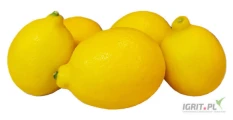 Hello people, we are suppliers of Lemon in Nigeria at large quantities. We export it to all countries in the world. We also welcome any...
