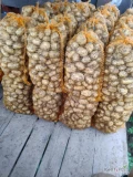 Sprzedam ziemniaki z jasnej ziemi ilość do uzgodnienia 