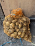 Sprzedam ziemniaki odmiana Lili ilości tirowe-busowe pakowanie big-bag ,luz,worek do uzgodnienia