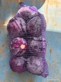Sprzedam kapustę czerwoną kaliber 1-2 kg ilości paletowe