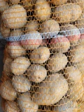 Sprzedam Ziemniaki Tajfun w kalibrażu 4,5 + w ilości 150 worków ładne czyste . Więcej informacji pod numerem telefonu. 
