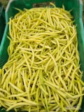 Sprzedam fasolę szparagową żółta I zieloną. Odmiany Unidor Goldstrike Paulista i Homerun. Duże ilości, świeży towar, zrywaniu pod...