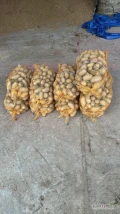 Sprzedam ziemniaka Soraya pakowany w worki 15kg. Lecz opakowanie możemy dostosować pod klienta. Posiadam duże ilości