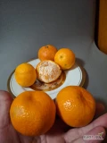 Mandarynka odmiany Satsuma. smaczna, slodka.!