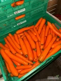 Sprzedam tirowe ilości marchwi mytej towar w kalibrze marketowym oraz grubym 