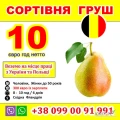 РОБОТА ДЛЯ УКРАЇНЦІВ В БЕЛЬГІЇ