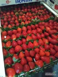 Sprzedam grecką truskawka IRMINI,