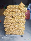Sprzedam 25 ton ziemniaka Soraya  z jasnej ziemi ,pakowany w worki po 15 kg  cena 17 zl