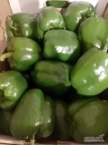 Sprzedam Paprykę żółta zielona małe i duże ilości możliwy transport informacje pod nr tel 727694440