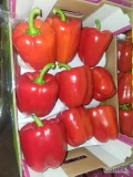 SPRZEDAM ŚWIEŻĄ PAPRYKĘ CZERWONĄ POCHODZENIE HISZPANIA  KONTAKT 518608411 ZAPRASZAMY