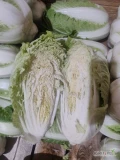 Sprzedam kapustę pekińska. Kalibraz 0.5 - 2 kg . Odmiana Bilko. Zielona. Czysta w środku. Towar bez niespodzianek 