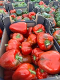 Sprzedam paprykę gruntową 