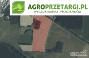 Przetarg na dzierżawę 9,08 ha gruntu rolnego – RIVa, RIVb, RVI, ŁIV