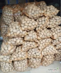 Sprzedam ziemniaki jadalne. Kaliber od +45.  Cena 6 zł za 15 kg. Odmiana Melody. Szykujemy na bieżąco przed wcześniejszym uzgodnieniu....