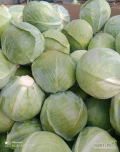 Sprzedam kapustę białą, odmiana Cyclone, towar marketowy, waga 1,5kg-3,5kg, opakowanie kartonbox. 693098868