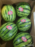 Sprzedam auto arbuza w kartonach 20kg, pochodzenie Hiszpania