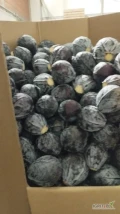 Sprzedam kapustę czerwoną kaliber 1-3kg opakowanie karton box towar z chłodni ilości tirowe 