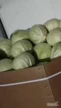 Sprzedam kapustę białą kaliber 1-4kg towar z chłodni opakowanie karton box 