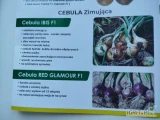 Nasiona cebuli ozimej firmy Agri.Odmiany:(j. 250 000n) IBIS F1 , AGX974 F1 , EIYU F1 ,  SENSHYU YELLOW , RED GLAMOUR F1(czerwona) oferuje...