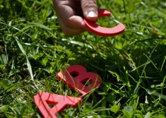 By rolnictwo wróciło do (programu) szkoły