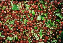 Wiśnie i czereśnie - jakie ceny na rynkach hurtowych?