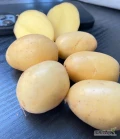 Sprzedam jadalne BABY potatoes , żółte w środku , kaliber takiego ziemniaczka do 4,5 . Worek szyty 10kg lub 15kg , kolor worka...