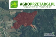 Przetarg na dzierżawę 7,67 ha gruntu rolnego na czas nieokreślony – RIVb, ŁIV, ŁV, PsIV, PsV, Br-RIVb